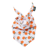 The Paws Clementine Dog Bandana