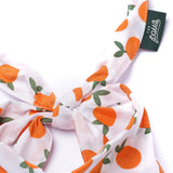 The Paws Clementine Dog Bandana