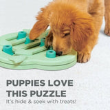 Dog interacting with a green puzzle toy on a light gray background