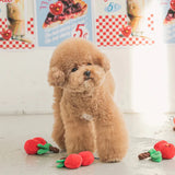 Bite Me Cherries Tug Pet Toy