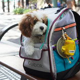 iCandor Jige Backpack Pet Carrier - Misty Grey