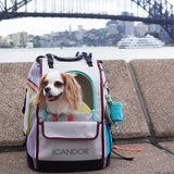 iCandor Jige Backpack Pet Carrier - Misty Grey