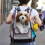 iCandor Jige Backpack Pet Carrier - Misty Grey