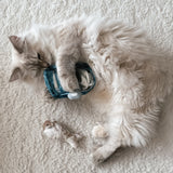 Lambwolf Collective Kitty Sardines Enrichment Cat Toy