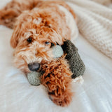 Lambwolf Collective Pea Pop Enrichment Dog Toy