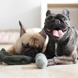 Lambwolf Collective Pea Pop Enrichment Dog Toy